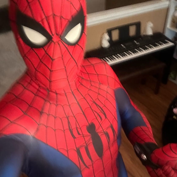 Spider-Man Professional Grade Cosplay Costume! - Picture 3 of 12
